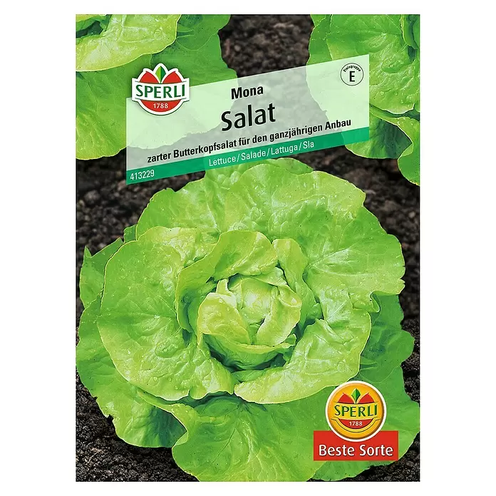 Sperli Salatsamen Kopfsalat - Mona, Lactuca sativa, Erntezeit: Juni - Vorderansicht