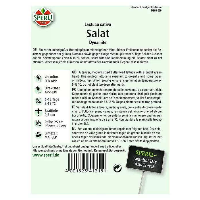 Sperli Salatsamen Kopfsalat - Dynamite, Lactuca sativa - Rückansicht