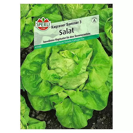 Sperli  Salatsamen Kopfsalat