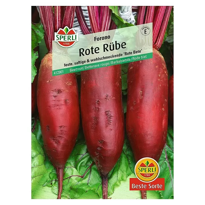 Sperli Gemüsesamen Rote Rübe - Forono, Beta vulgaris, Erntezeit: August - Vorderansicht