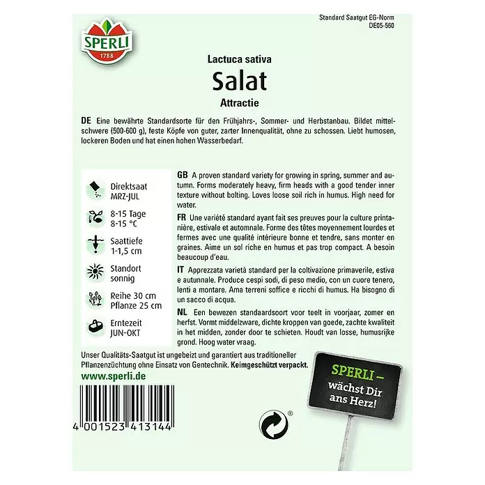 Sperli Salatsamen Kopfsalat - Attractie, Lactuca sativa, Erntezeit: Juni - Rückansicht