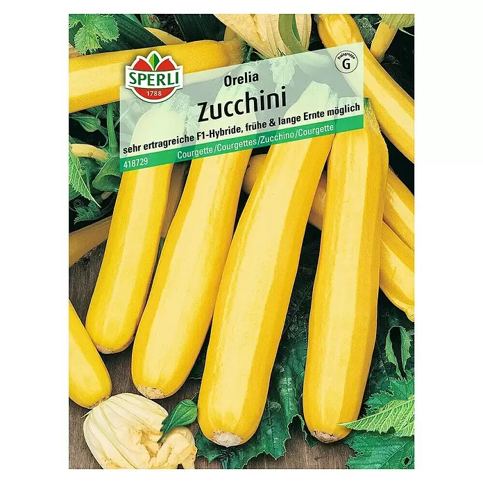 Sperli Gemüsesamen Zucchini - Orelia, Cucurbita pepo, Erntezeit: Juli - Draufsicht