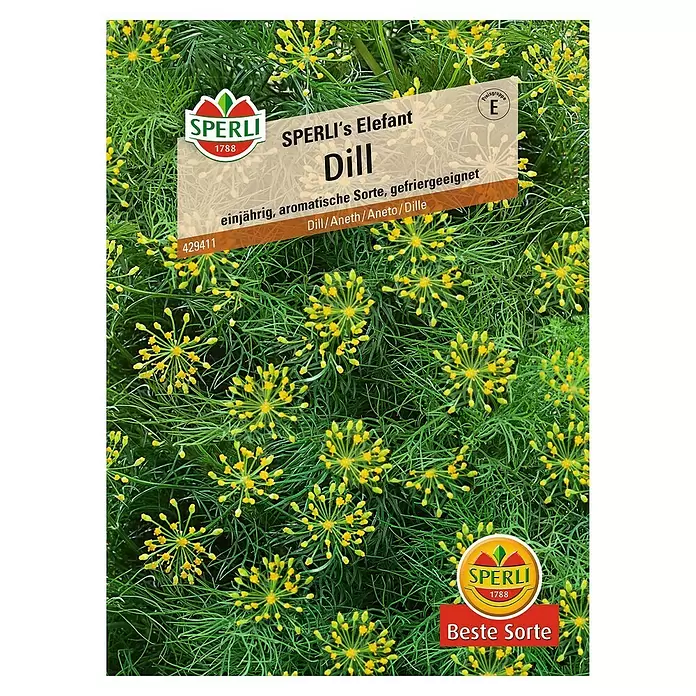 Sperli Kräutersamen Dill - Sperli's Elefant, Anethum graveolens var. hortorum, Saatzeit: April, Erntezeit: April - Vorderansicht