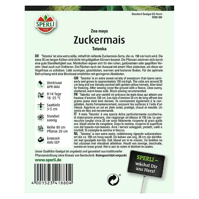 Sperli Gemüsesamen Zuckermais - Zea mays ssp. saccharata, Erntezeit: August, Tatonka - Rückansicht