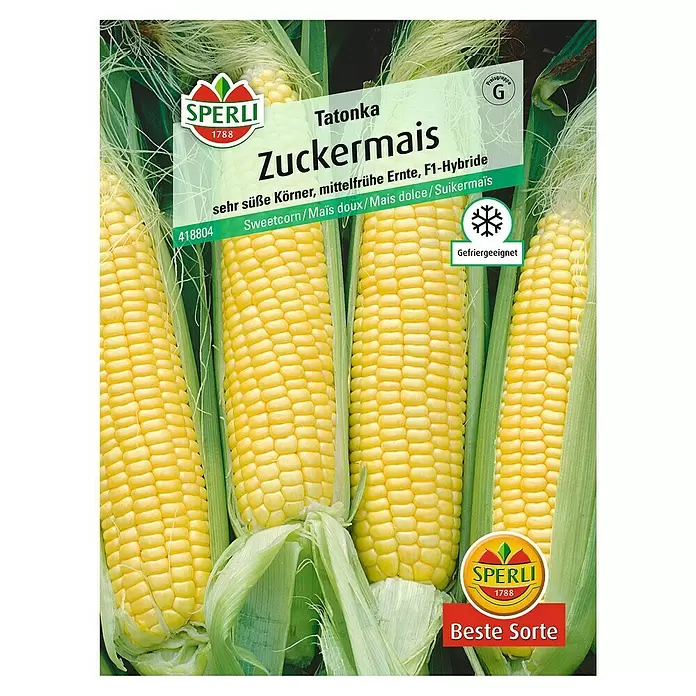 Sperli Gemüsesamen Zuckermais - Zea mays ssp. saccharata, Erntezeit: August, Tatonka - Vorderansicht