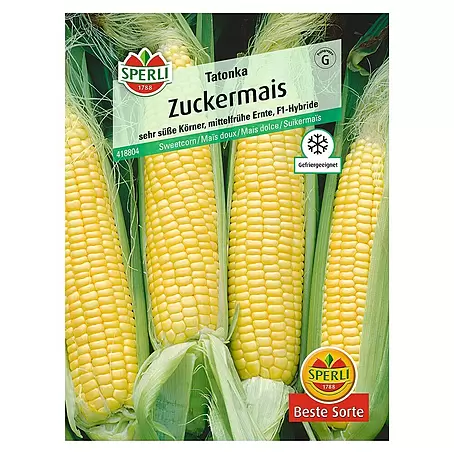 Sperli  Gemüsesamen Zuckermais