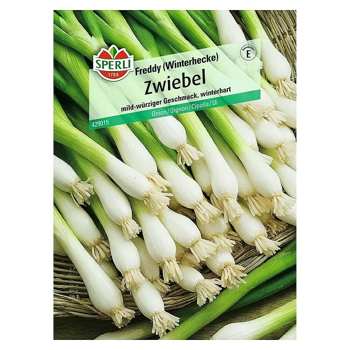Sperli Gemüsesamen Zwiebel - Allium fistulosum, Erntezeit: April - Vorderansicht