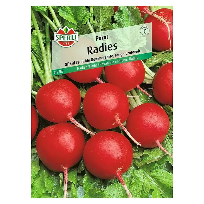 Sperli Gemüsesamen Radies - Parat, Raphanus sativus, Erntezeit: Mai - Vorderansicht