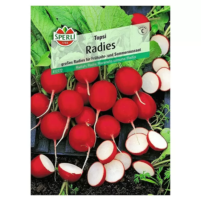 Sperli Gemüsesamen Radies - Topsi, Raphanus sativus, Erntezeit: Mai - Vorderansicht