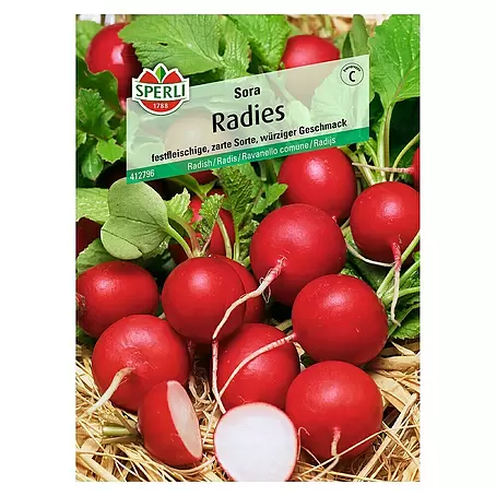 Sperli  Gemüsesamen Radies