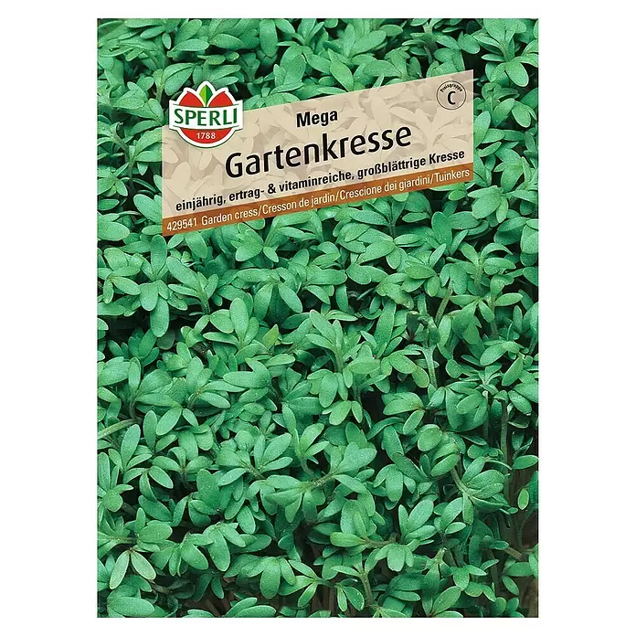 Sperli Kräutersamen Gartenkresse - Mega, Lepidium sativum, Saatzeit: April, Erntezeit: Ganzjährig - Vorderansicht