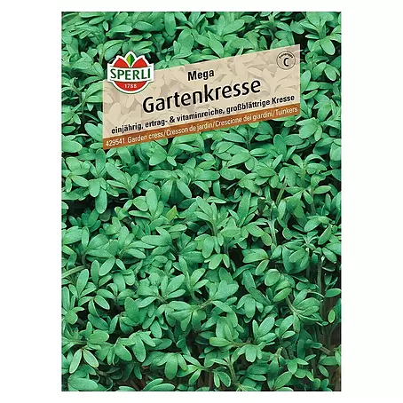 Sperli  Kräutersamen Gartenkresse