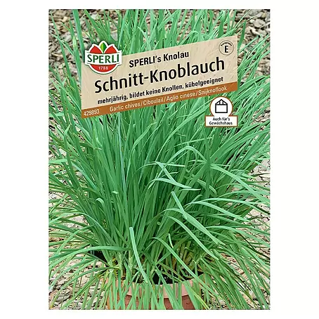 Sperli  Kräutersamen Schnitt-Knoblauch