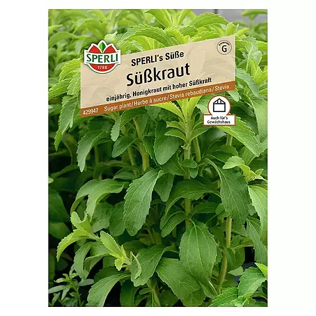 Sperli  Blumensamen Süßkraut