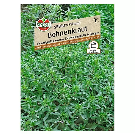Sperli  Kräutersamen Bohnenkraut Sperli's Pikanta