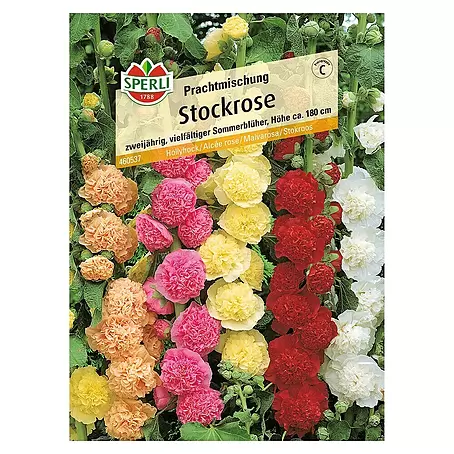 Sperli  Blumensamen Stockrose