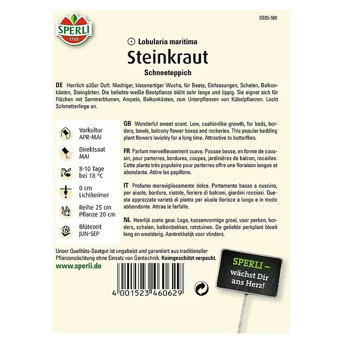 Sperli Blumensamen Steinkraut - Lobularia maritima, Blütezeit: Juni - Rückansicht