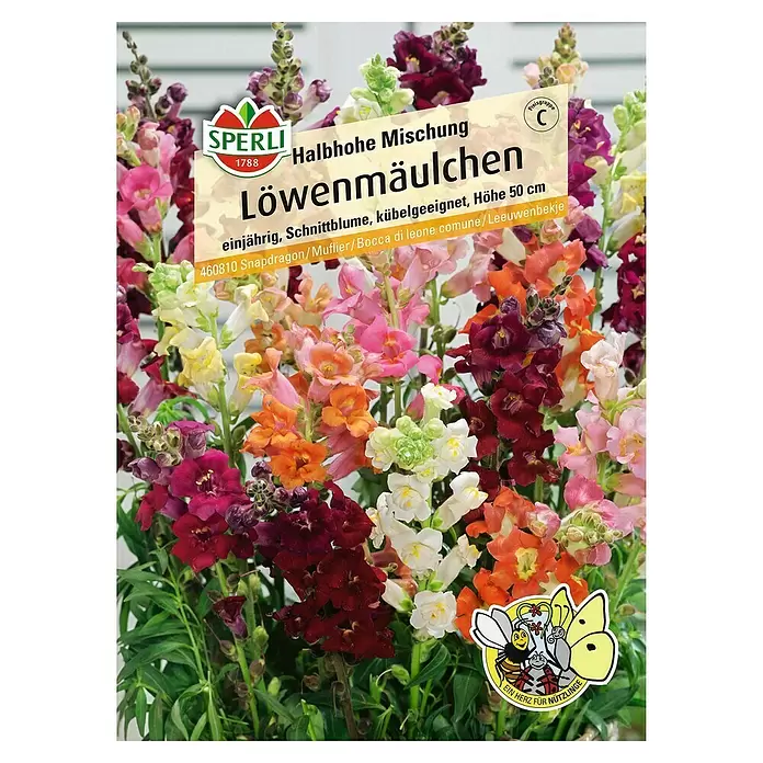 Sperli Blumensamen Löwenmäulchen - Halbhohe Mischung, Antirrhinum majus, Blütezeit: Juli - Vorderansicht