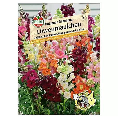 Sperli  Blumensamen Löwenmäulchen