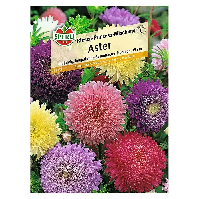 Sperli Blumensamen Aster - Riesen-Prinzess-Mischung, Callistephus chinensis, Blütezeit: August - Vorderansicht