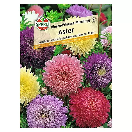 Sperli  Blumensamen Aster