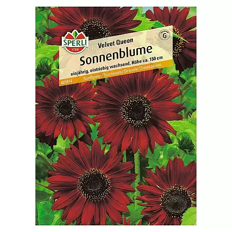 Sperli  Blumensamen Sonnenblume