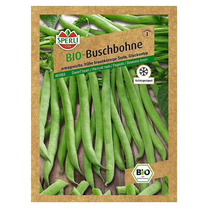 Sperli Gemüsesamen Buschbohne - Bio Gluckentyp, Phaseolus vulgaris var. nanus, Erntezeit: Juli - Vorderansicht