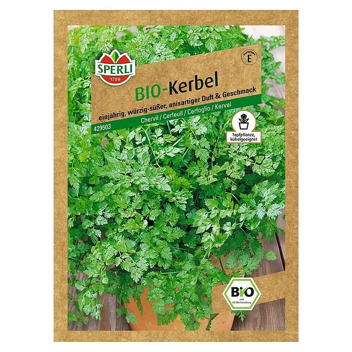 Sperli Kräutersamen Bio Kerbel - Anthriscus cerefolium, Saatzeit: März, Erntezeit: Ganzjährig - Vorderansicht