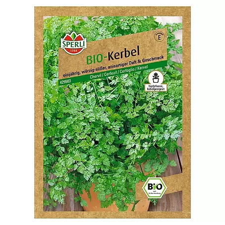 Sperli  Kräutersamen Bio Kerbel