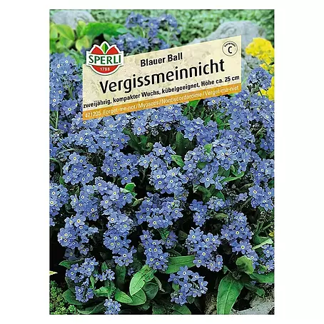 Sperli  Blumensamen Vergissmeinnicht