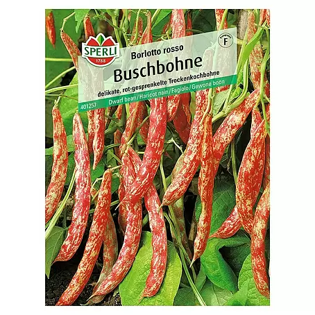 Sperli  Gemüsesamen Buschbohne
