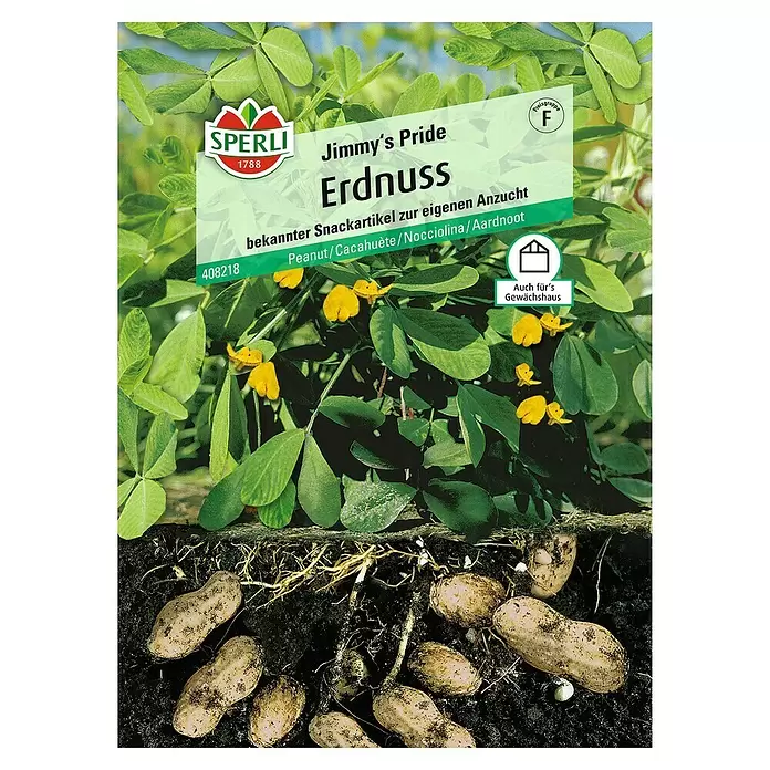 Sperli Obstsamen Erdnuss - Arachis hypogaea, Erntezeit: August - Vorderansicht
