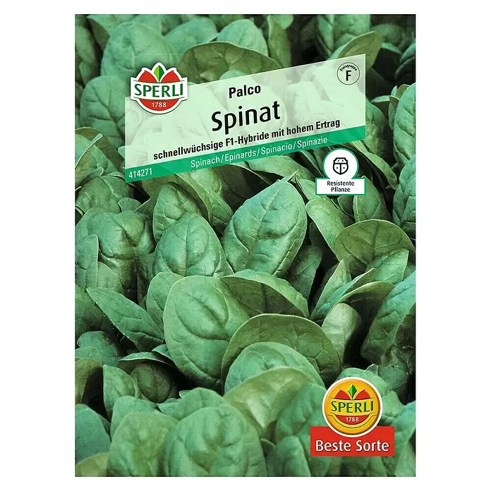 Sperli Gemüsesamen Spinat - Tetragonia tetragonioides, Erntezeit: Mai - Vorderansicht