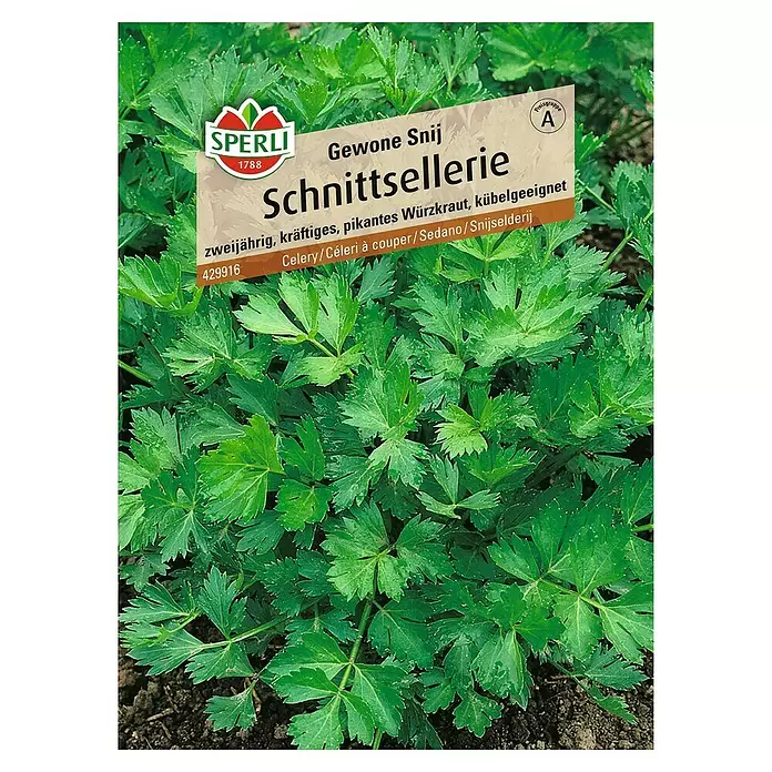Sperli Kräutersamen Schnittsellerie - Apium graveolens, Erntezeit: Juli - Vorderansicht