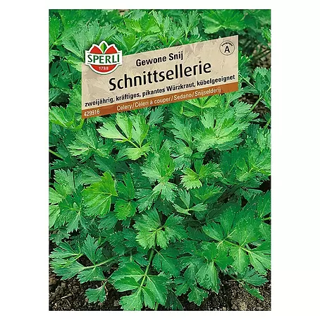 Sperli  Kräutersamen Schnittsellerie