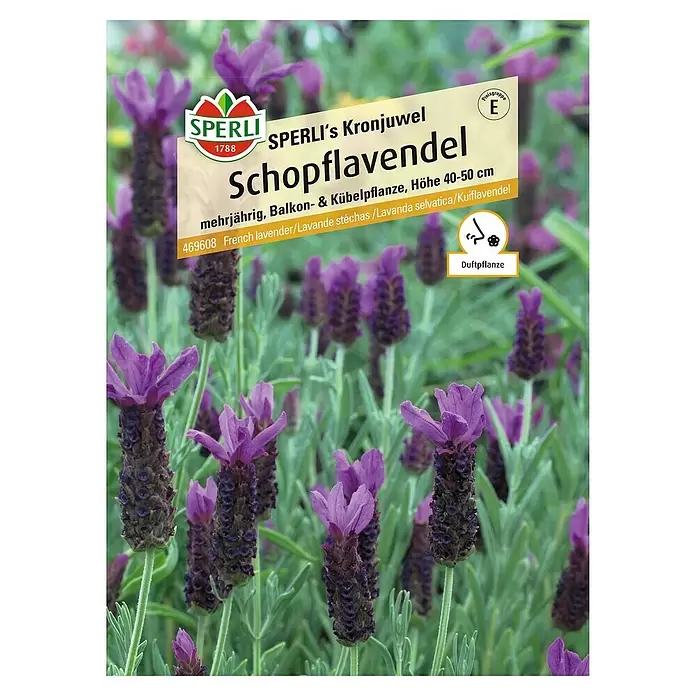 Sperli Blumensamen Schopflavendel - Linum grandiflorum - Vorderansicht