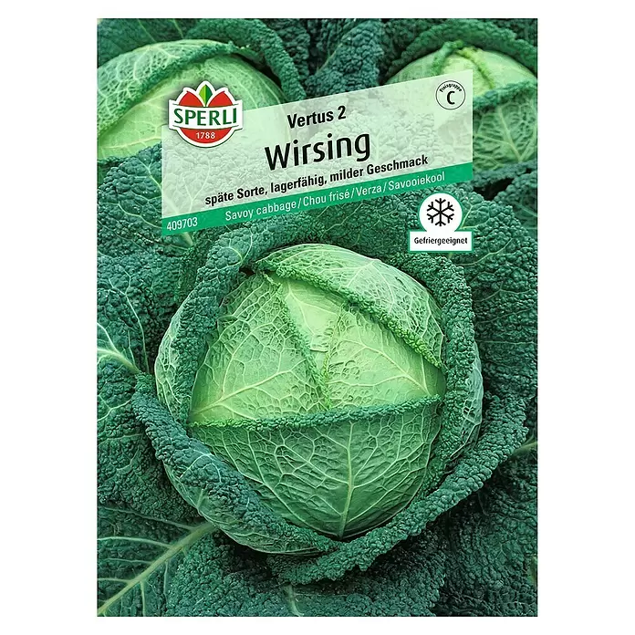 Sperli Gemüsesamen Wirsing - Brassica oleracea, Erntezeit: Oktober - Vorderansicht