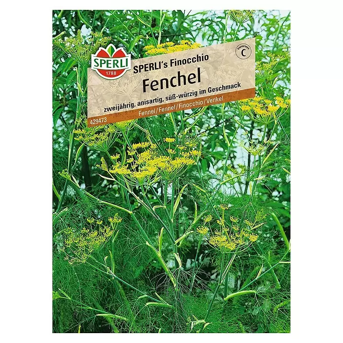 Sperli Gemüsesamen Fenchel - Foeniculum vulgare, Erntezeit: April - Vorderansicht