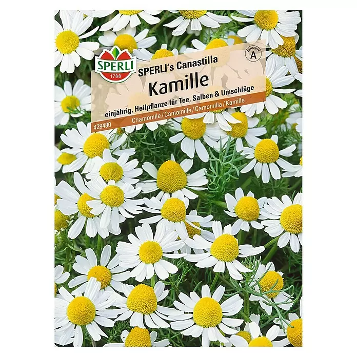 Sperli Blumensamen Kamille - Chamomilla recutita, Weiß-orange - Vorderansicht