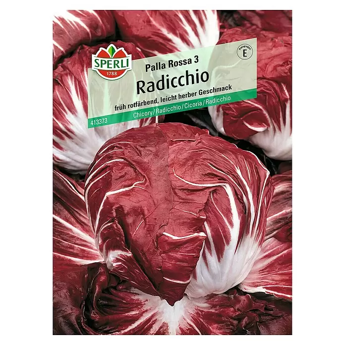 Sperli Salatsamen Radicchio - Cichorium intybus, Erntezeit: September - Vorderansicht