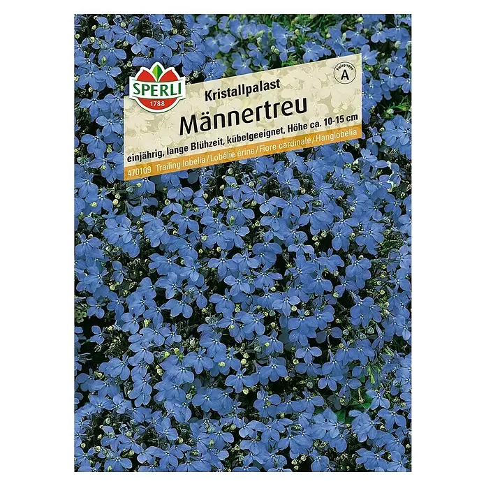 Sperli Blumensamen Männertreu - Lobelia erinus, Blau - Vorderansicht