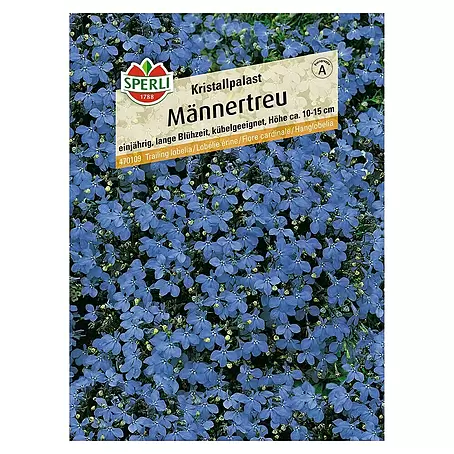 Sperli  Blumensamen Männertreu