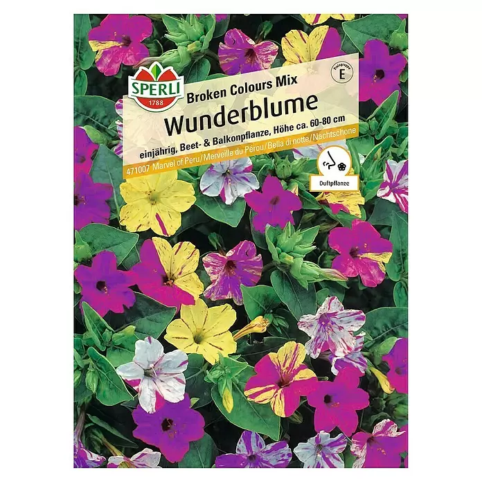 Sperli Blumensamen Wunderblume - Mirabilis jalapa, Mehrfarbig - Vorderansicht