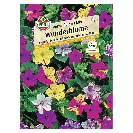 Sperli  Blumensamen Wunderblume