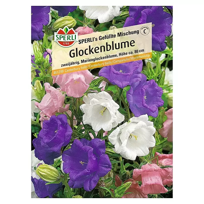 Sperli Blumensamen Glockenblume - Centaurea cyanus, Mehrfarbig - Vorderansicht