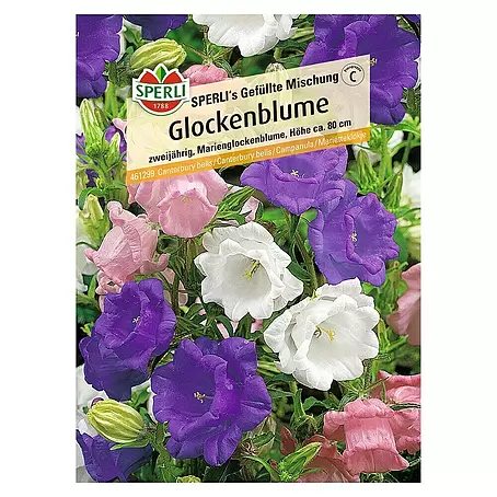 Sperli  Blumensamen Glockenblume