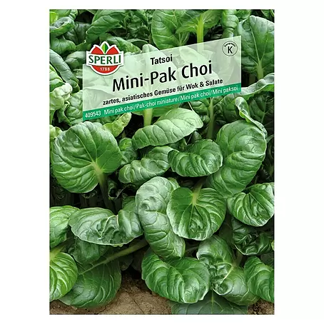 Sperli  Gemüsesamen Pak Choi