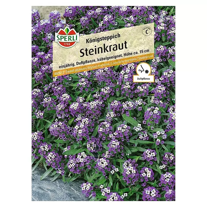 Sperli Blumensamen Steinkraut - Lobularia maritima, Saatzeit: April - Vorderansicht