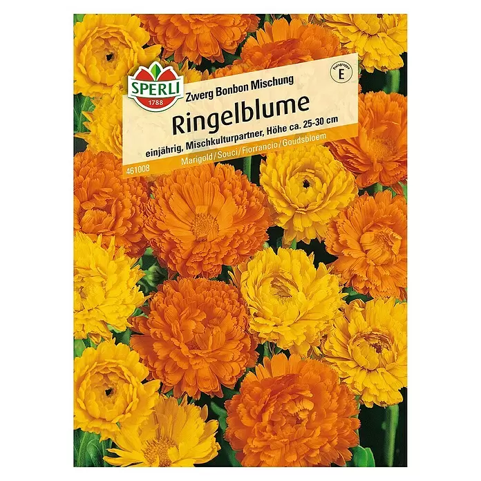 Sperli Blumensamen Ringelblume - Zwerg Bonbon Mischung, Calendula arvensis, Mehrfarbig - Vorderansicht
