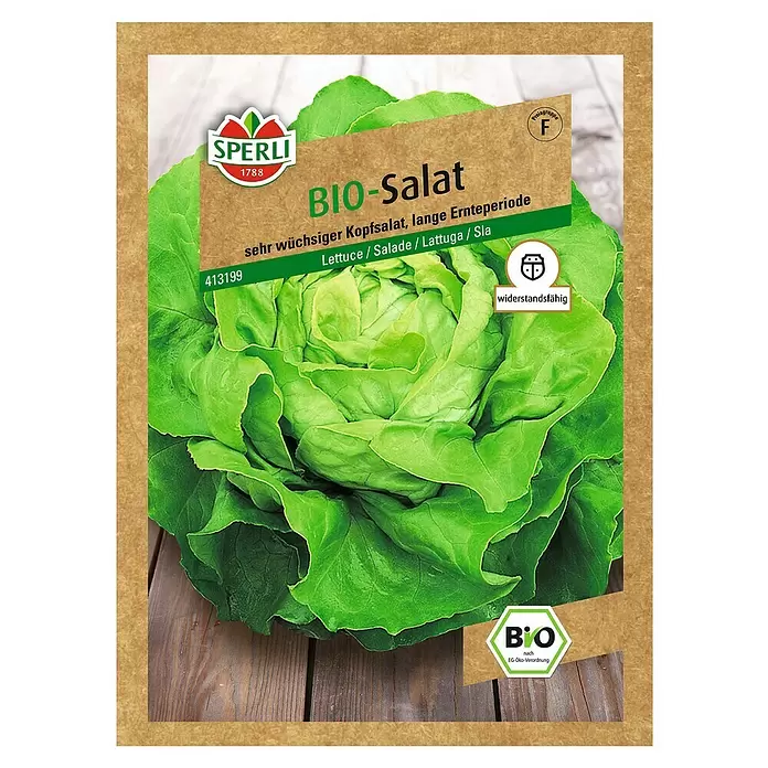 Sperli Salatsamen Bio Kopfsalat - Lactuca sativa, Erntezeit: Mai - Vorderansicht